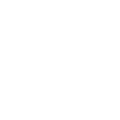Icon - Luteal phase support